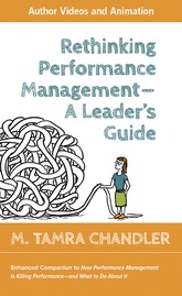 Rethinking Performance Management--A Leaders Guide (Enhanced)